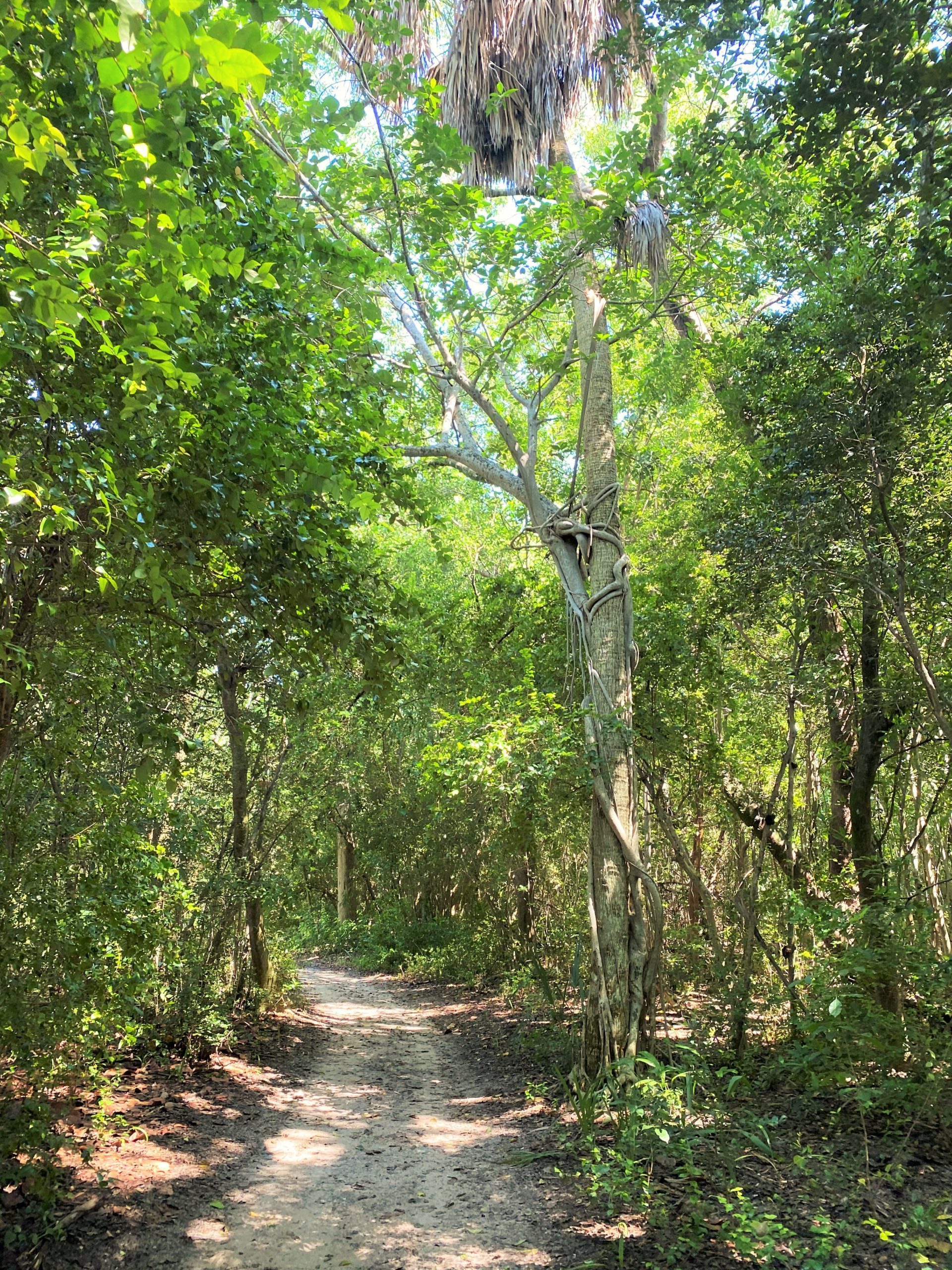 ft lauderdale nature hikes