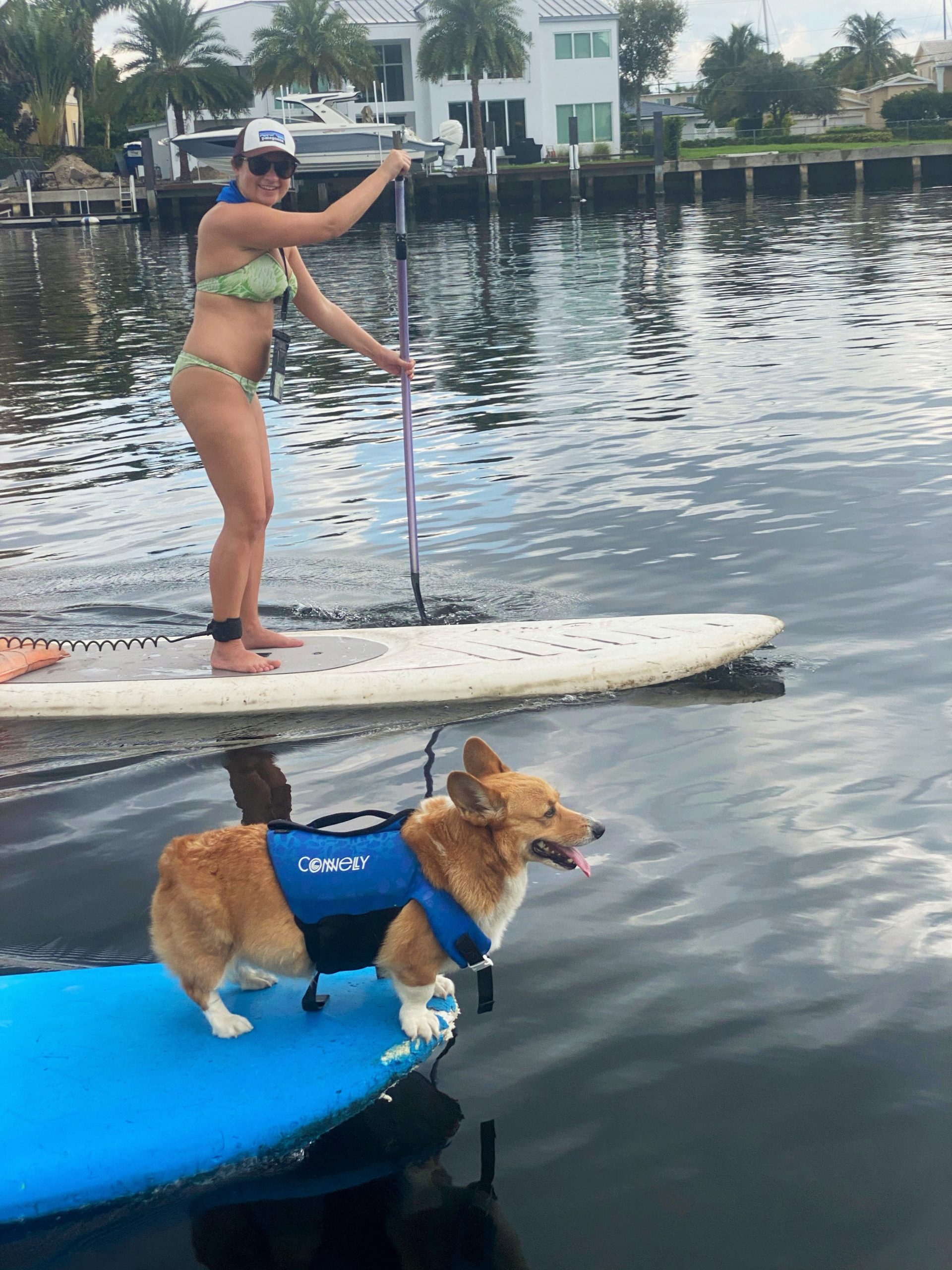 things to do in fort lauderdale paddleboard