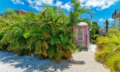 The Pink Palm – Anna Maria Island – Private Home w/ New Pool